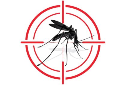 Kit anti-larvale per la lotta alla zanzara tigre Kit anti-larvale per la lotta alla zanzara tigre