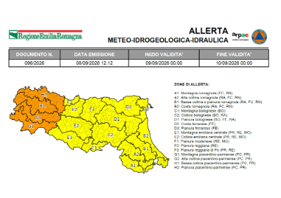 foto allerta