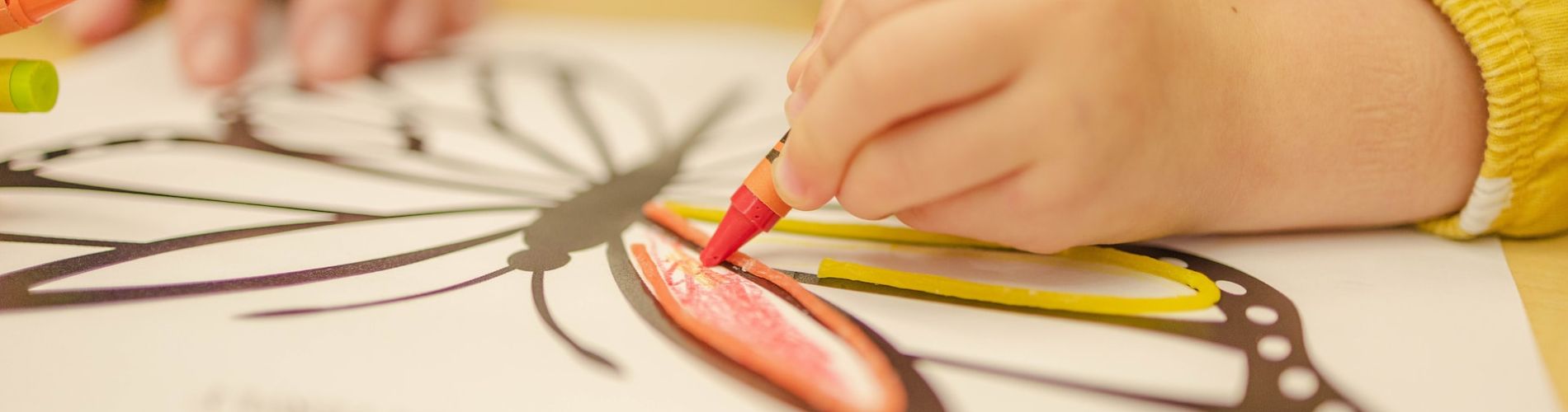 Commissione Servizi Sociali e Sanità