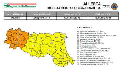 foto allerta